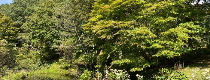 但馬高原植物園 is one of 兵庫県2.
