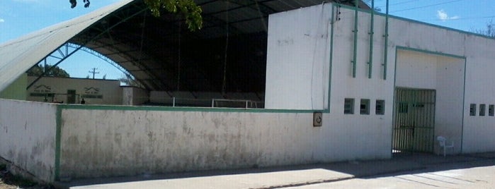 Ginasio de Esportes is one of Tempat yang Disukai genilson.