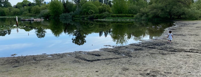 Trout Lake Beach is one of Beaches To Tide You Over.