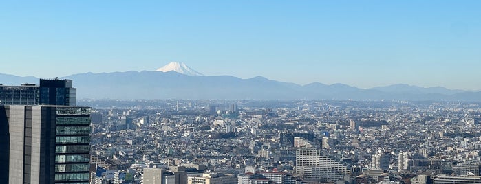 Executive Salon - Cerulean Tower Tokyu Hotel is one of bldg..