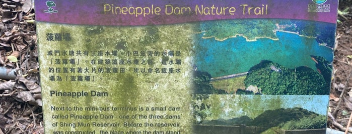 Pineapple Dam Nature Trail is one of HK 🐶 Friendly.