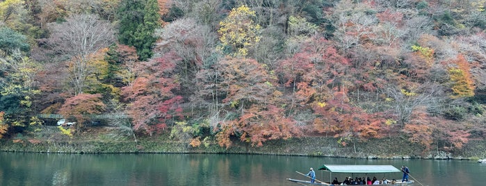 Hozu River is one of My experiences of Japan.