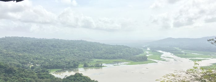 The Jungle Tower is one of Tempat yang Disukai A.R.T.