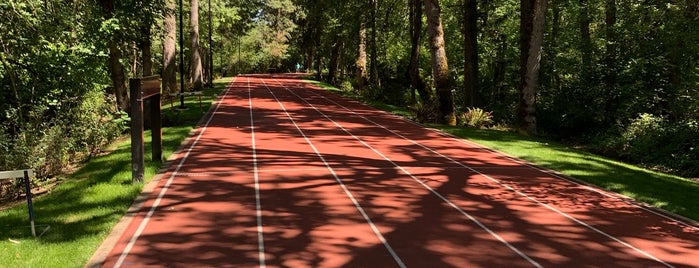 Nike - Michael Johnson Track is one of Locais curtidos por MLO.