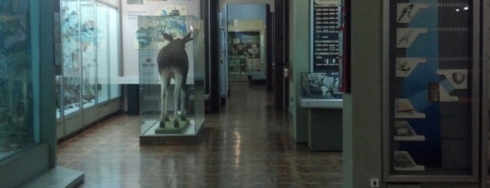 Областной краеведческий музей is one of Андрей : понравившиеся места.