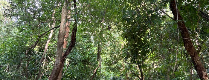 Parque Estadual Massairo Okamura is one of Deveres diários.