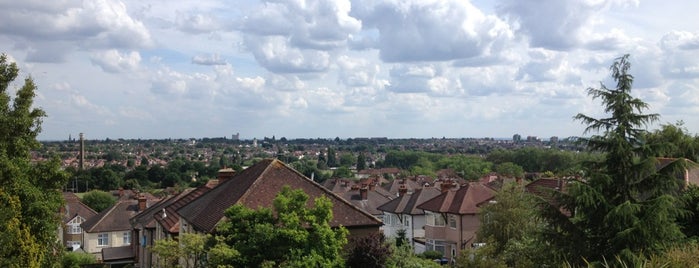 Dollis Hill Lane is one of 1000 Things To Do in London (pt 1).