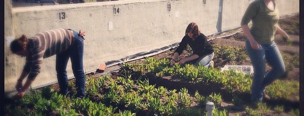Brooklyn Grange Rooftop Farm is one of Jessicaさんのお気に入りスポット.