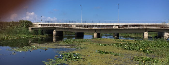 Köprü Başı Balık Lokantası is one of Locais salvos de Ramazan.