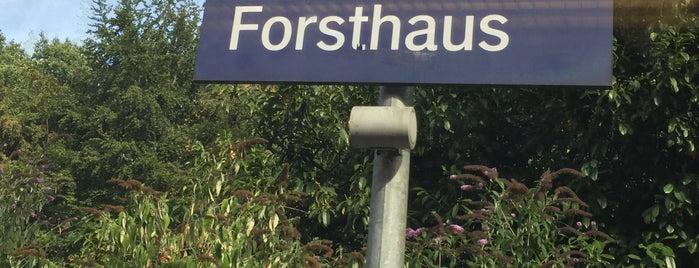 Bahnhof Forsthaus is one of Bahnhöfe BM Duisburg.