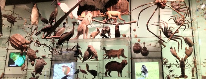 Hall of Biodiversity is one of The 13 Best History Museums in the Upper West Side, New York.