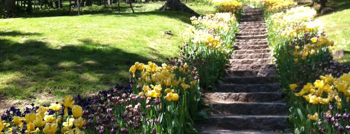 Yıldız Parkı is one of Nature.