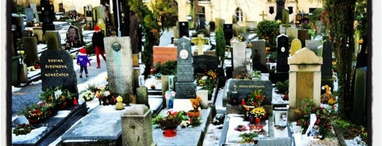 Šárecký hřbitov is one of Pražské hřbitovy.
