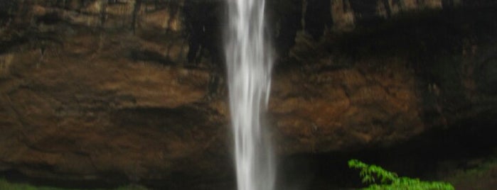 Pandavkada Falls - Kharghar is one of Marvelous Maharashtra.