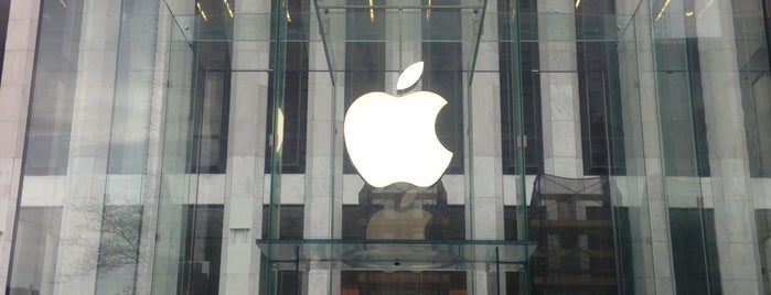 Apple Fifth Avenue is one of New York City.