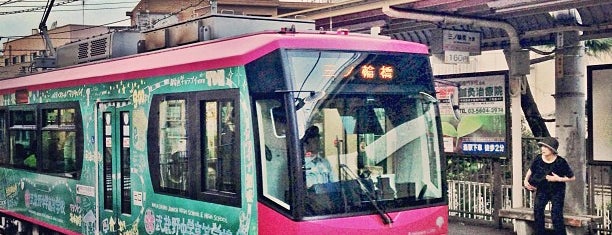 Tokyo Sakura Tram (Toden Arakawa line)