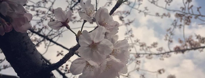 木更木橋 is one of 東京橋 ～下町編～.