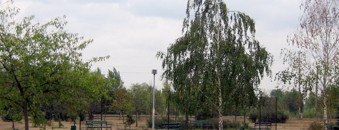 Парк "Молодіжний" is one of Парки м. Києва.