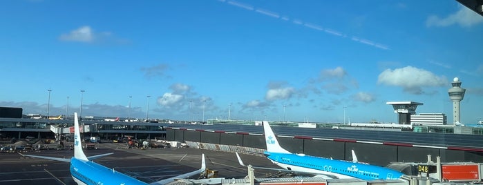 Gate D78 is one of Schiphol gates.