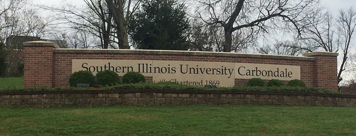 Southern Illinois University is one of Colleges/universities.