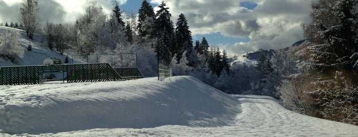 Crest-Voland is one of Les 200 principales stations de Ski françaises.
