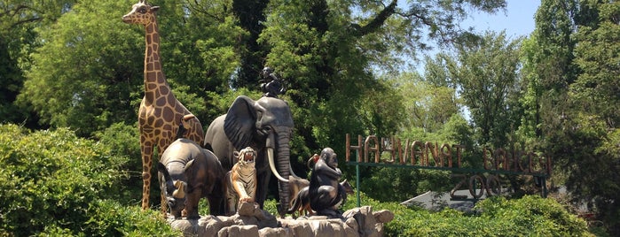 AOÇ Hayvanat Bahçesi is one of themaraton.