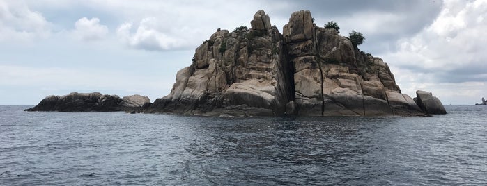 Shark Island (Dive Site) is one of Koh Tao Dive Spots.