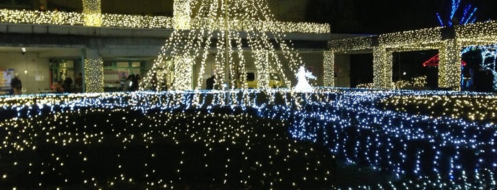 Gunma Flower Park is one of 日本夜景遺産.