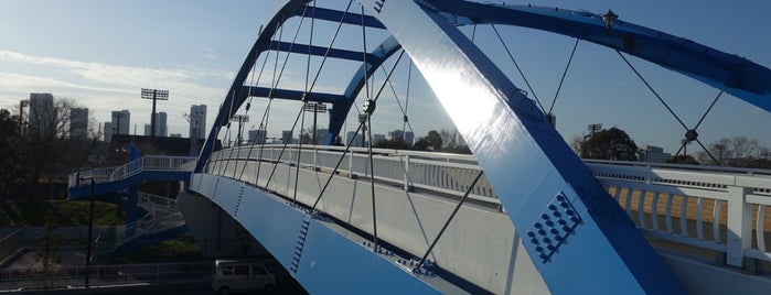 夢の島歩道橋 is one of 橋/その2.