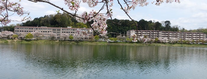 瀬田川ぐるりさんぽ道 is one of 石山寺の堂塔伽藍とその周辺.