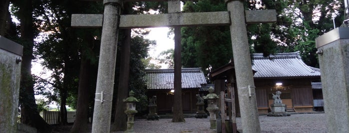 白鬚神社 is one of 立てた神社ベニュー2.