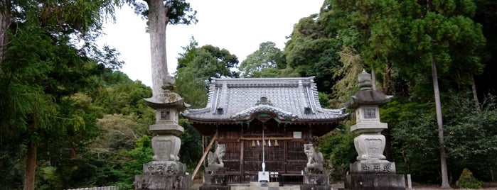 岩崎神社 is one of 立てた神社ベニュー2.