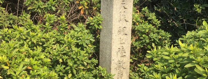 天誅組上陸繋船の楡 is one of 天誅組.