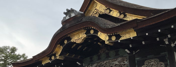 Ninomaru Palace is one of Kyoto.