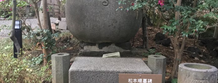 松本順 墓碑 is one of 立てた墓 2.