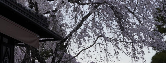 太閤しだれ桜 is one of 総本山 醍醐寺.