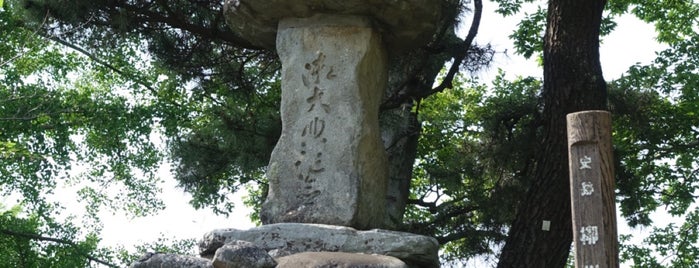柳川城址 is one of 観光7.