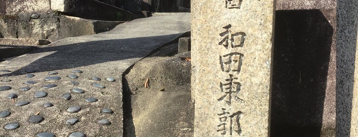和田東郭 墓所 is one of 立てた墓 2.
