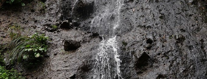 須賀の滝 is one of Shonai | 庄内.