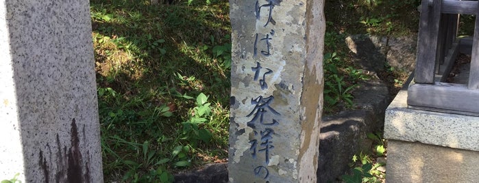 いけばな発祥の地碑（大覚寺） is one of 京都の訪問済史跡その2.