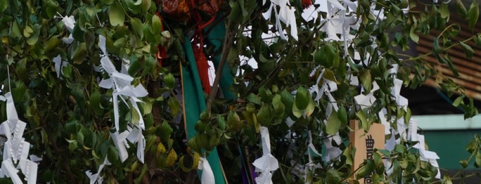 豊園泉正寺榊 is one of 京都の祭事-祇園祭.