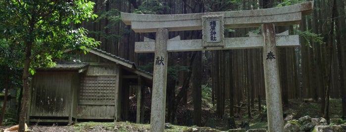 橿原神社（旧 惣持院 別所不動堂） is one of 立てた神社ベニュー2.