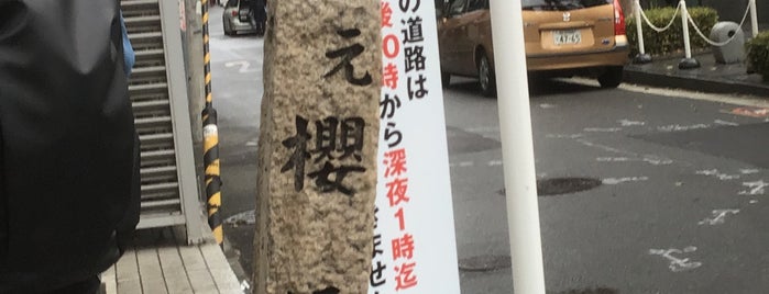 元櫻橋南詰石碑 is one of ちょっと気になるな.
