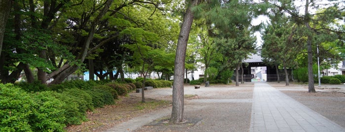 建中寺公園 is one of 名古屋_東区.