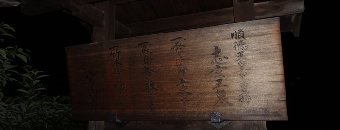 順徳天皇皇曽孫 志玄王（無極志玄）墓 is one of 立てた墓3.