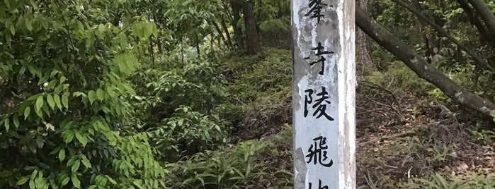 蓮華峯寺陵飛地は号（朝原山21号墳） is one of 立てた墓3.
