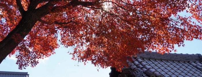 Dōju-in Temple is one of 京都府東山区.