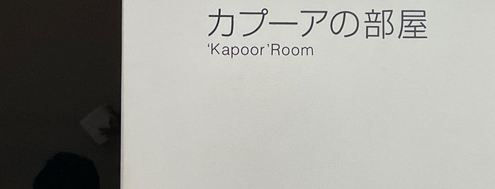 L'Origine du monde (Kapoor Room) is one of 金沢21世紀美術館.