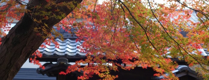東北院 is one of 京都の訪問済スポット（マイナー）.