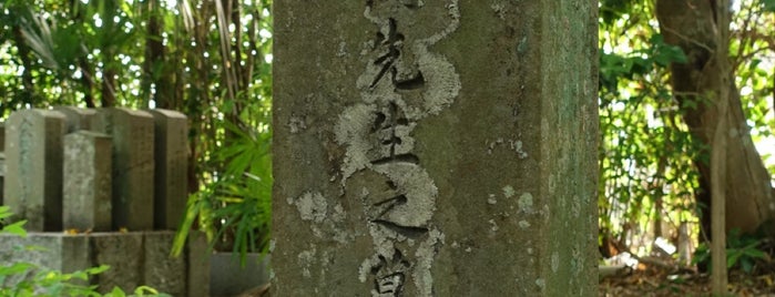 岡白駒（龍洲） 墓所 is one of 立てた墓3.